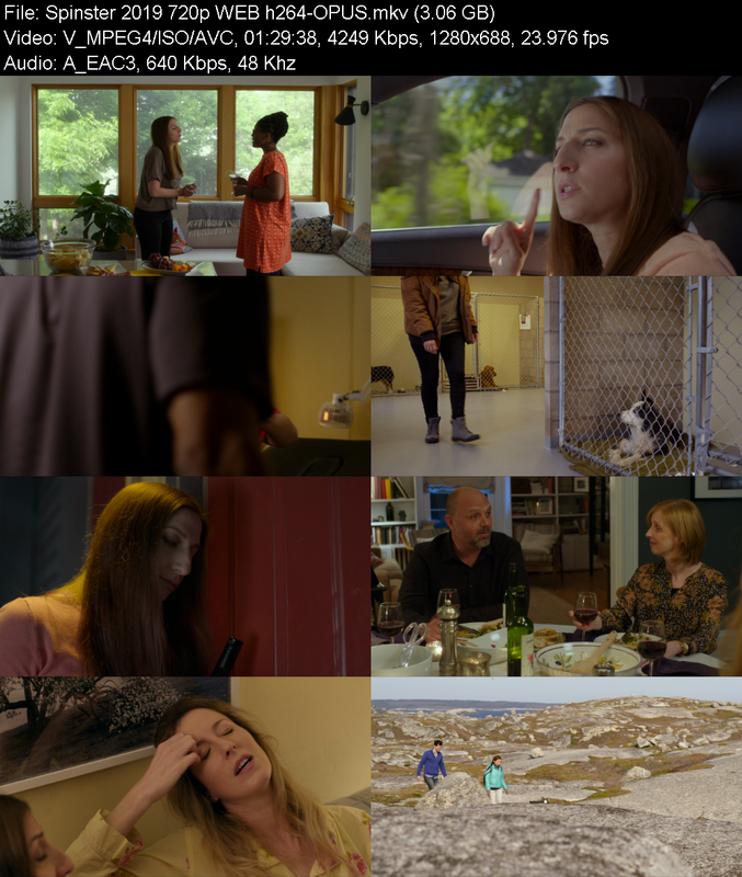 spinster-2019-720p-web-h264-opus.png