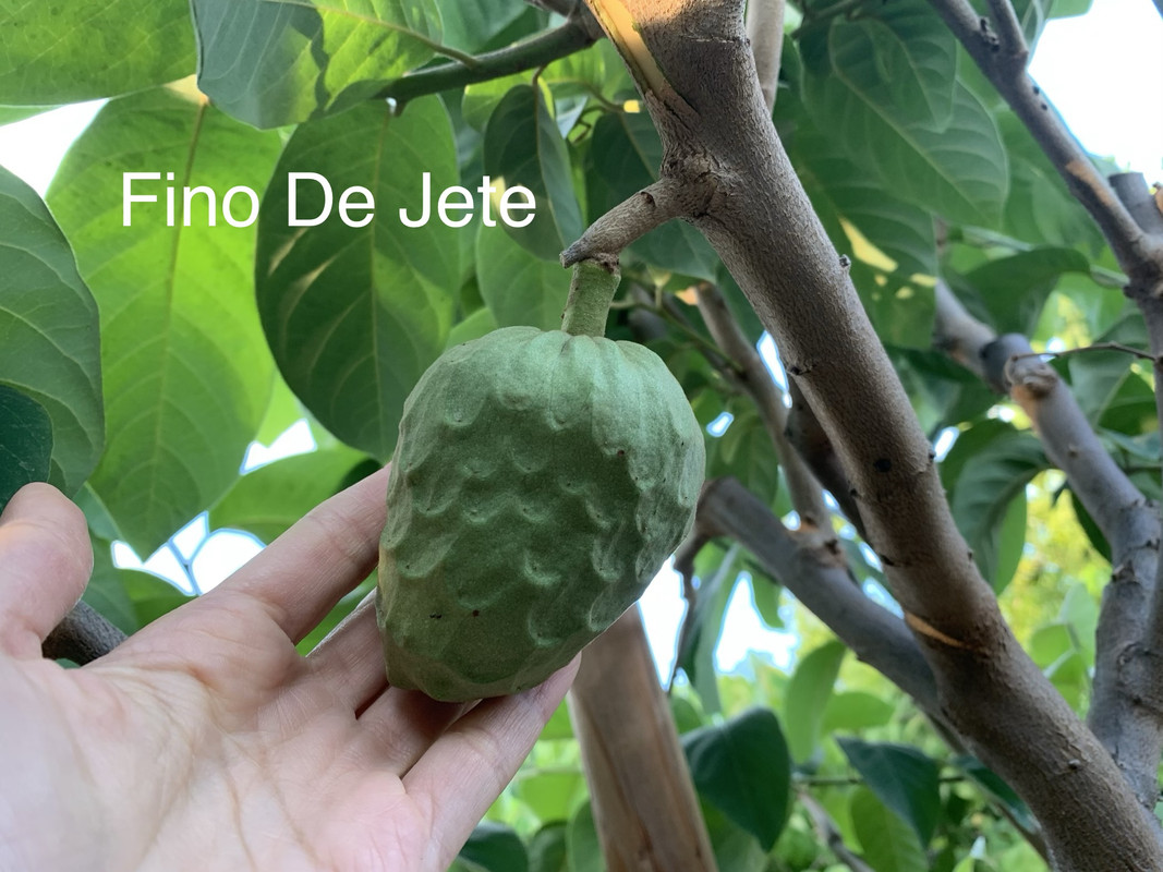 BB7F9E92-CEAA-4D49-99AA-24A3C8F46DDA