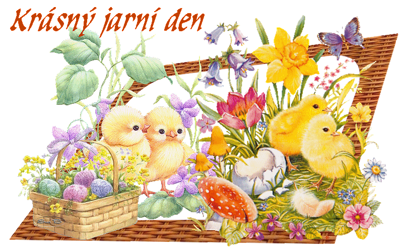 13749c735a-87031134-o2