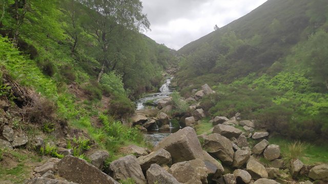 IMG_20210613_124823_1