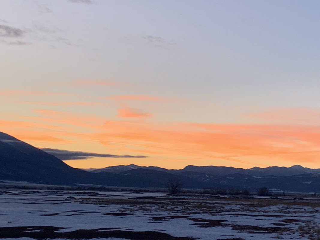 08378517-5A02-4D4A-8352-3D2EF0450342