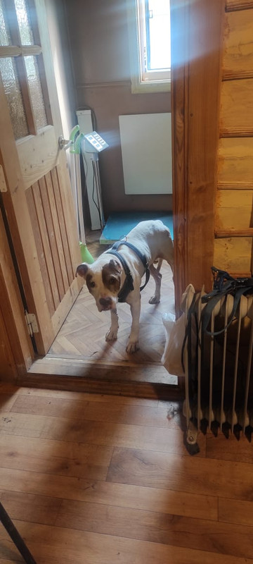 132C2424-3626-449E-94BD-AB4C9506AD10