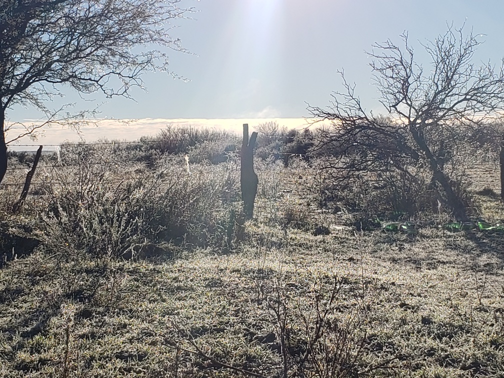 20190615_095942_resized