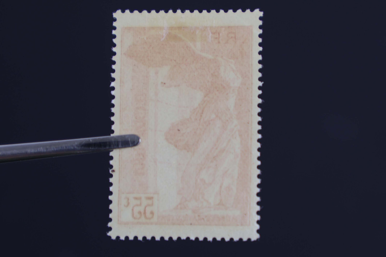 IMG 7067