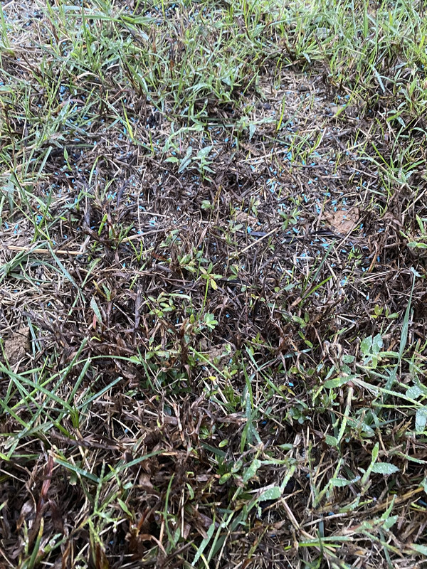 B8931C13-99B3-4F17-8646-010E260F026C