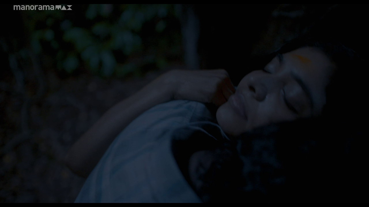 vlcsnap 2026 02 25 12h53m39s788