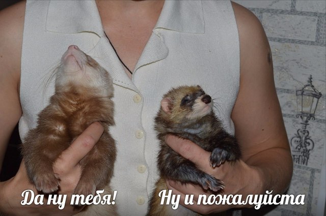 n2NtbtymJ_8