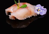 Nigiri suzuki
