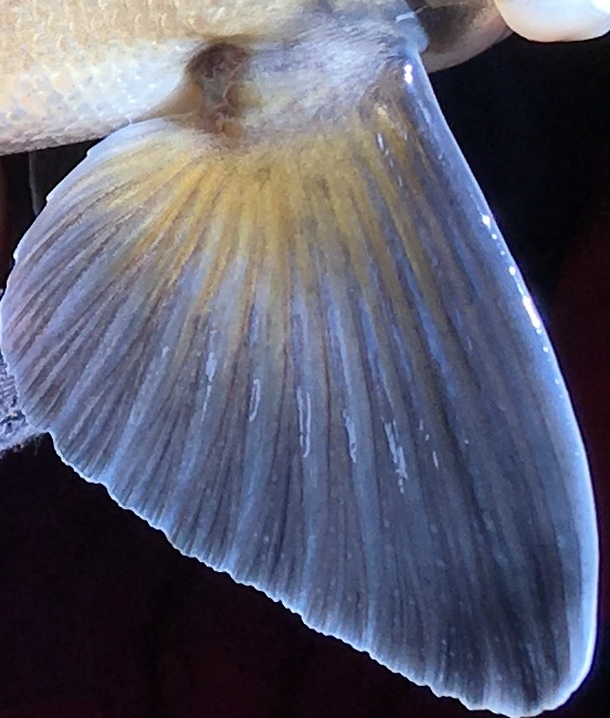 8DAC8EEE-57DA-4C0D-9865-B21E32488BB3