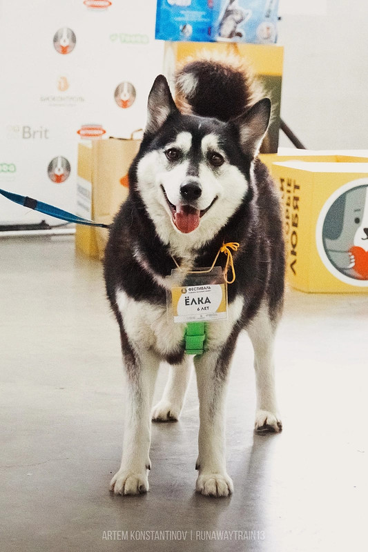 263F95EA-8377-469E-840C-36C04C844637