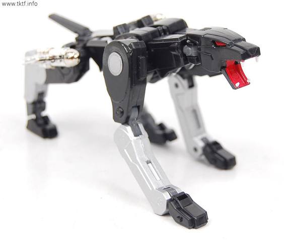 12509002_561576917334101_507765999236427904_n