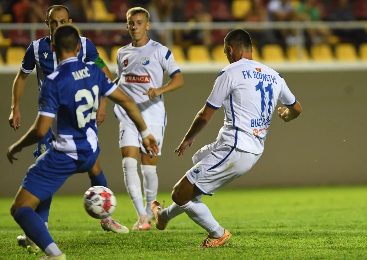 Arsenije Čepić - FK Jedinstvo Franca
