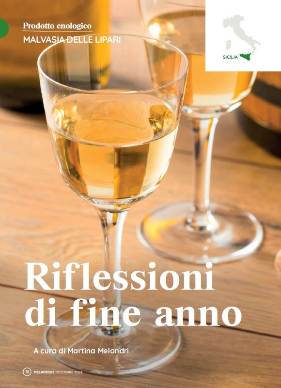 melaverde Dic 2024 (7)