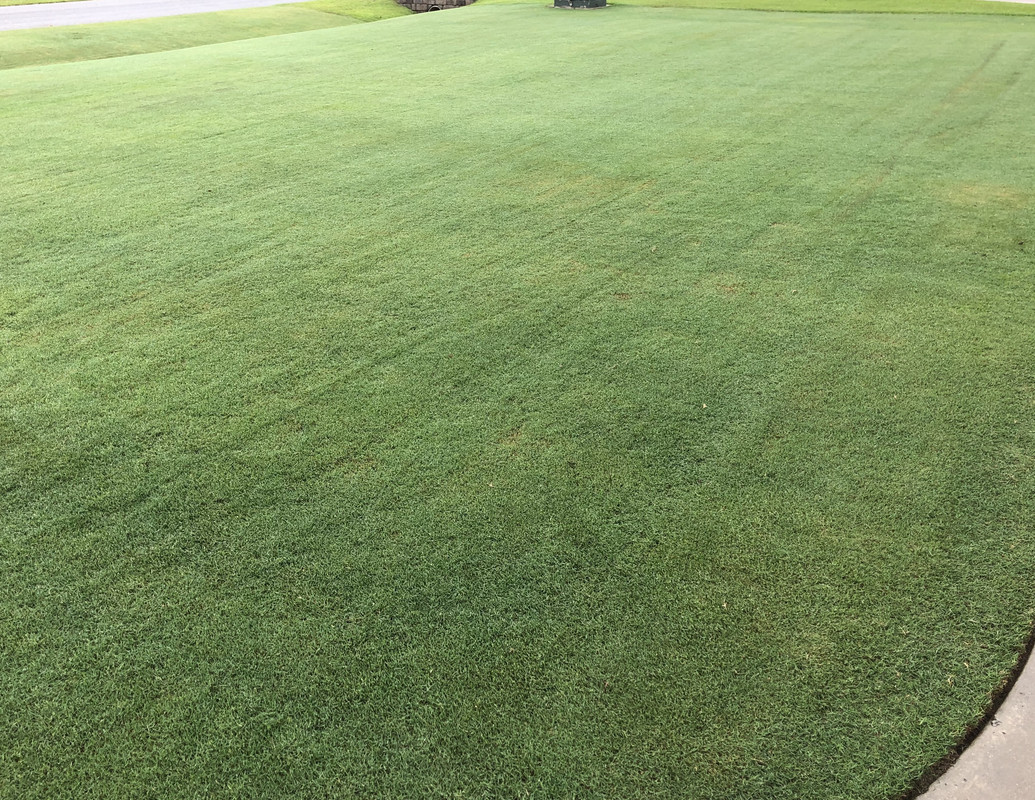 6DD478BB-312E-4747-BD2E-6135B81CCCA9