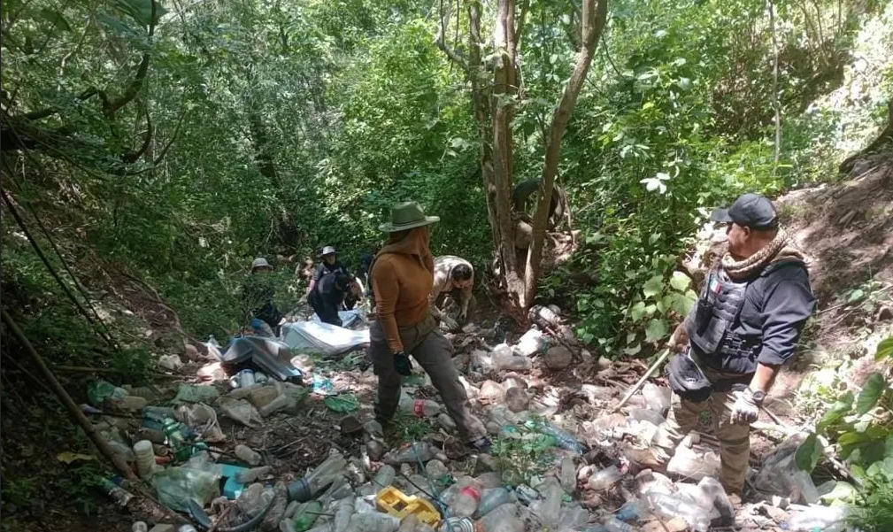 Colectivo encuentra fosa con 51 cadáveres, el más grande registrado en Michoacán