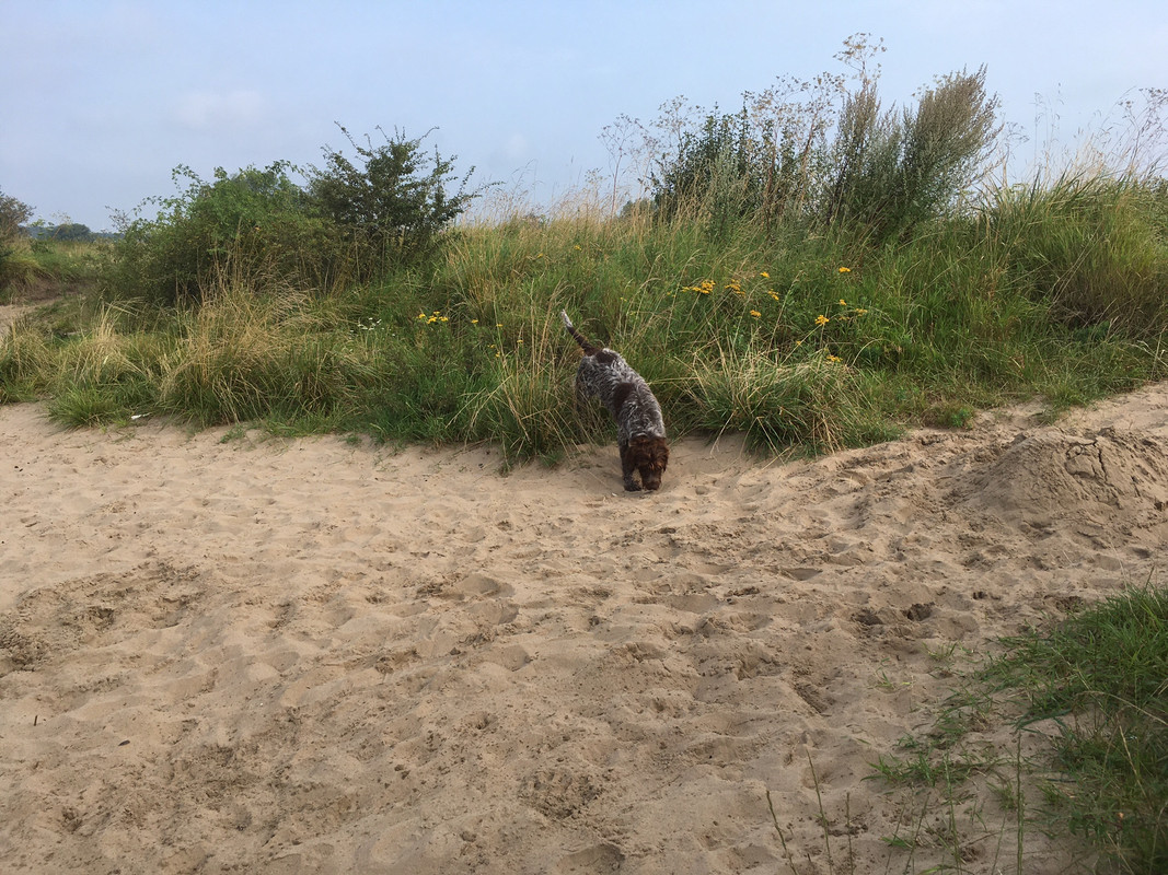 2024-03-08 Neuswerk 1 IMG_3937 (002)