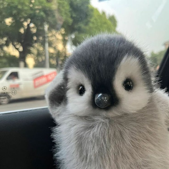little pen 