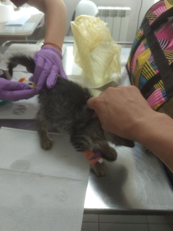 DC121D1B-D83E-47BC-8D56-2C2D403056C3