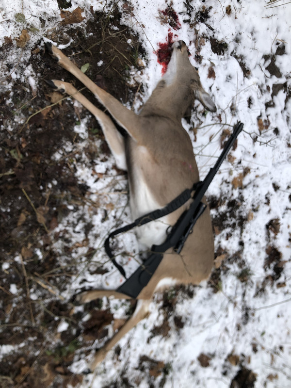 F8516C6D-44AE-4375-BCFF-AFC397E2437C