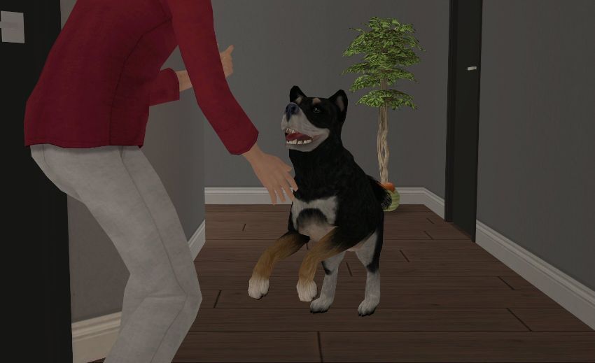 Sims2-EP9-2021-02-28-21-09-03-05