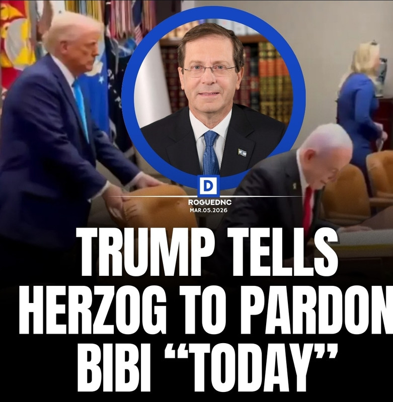 Screenshot 20260305 170401 Chrome