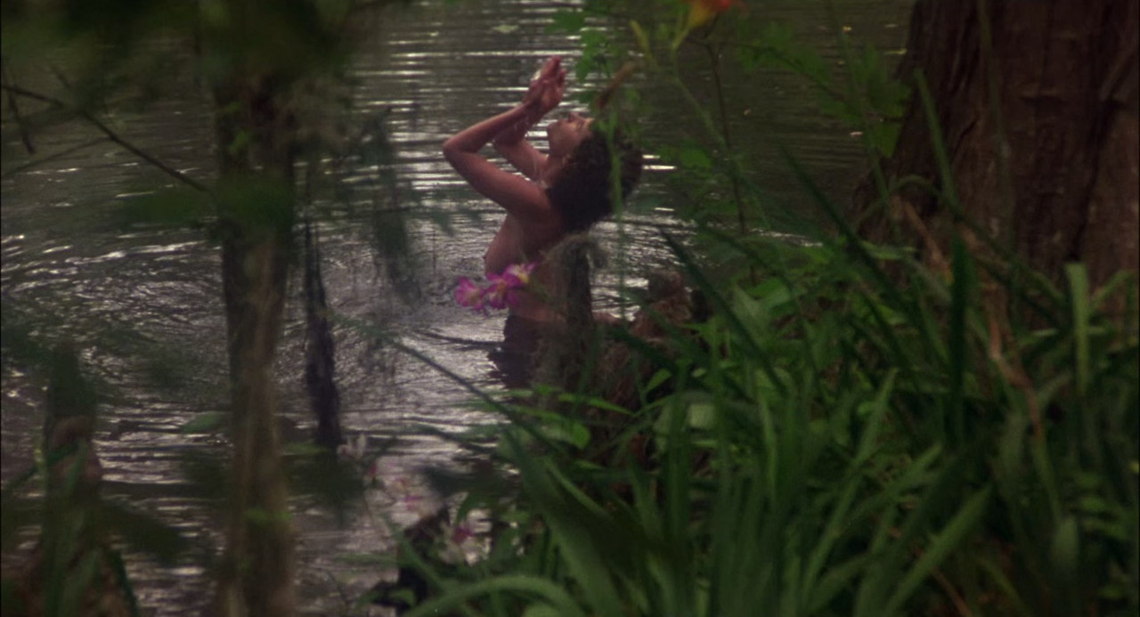 Swamp Thing 1982 (1080p x265 10bit Tigole).mkv_snapshot_01.04.41