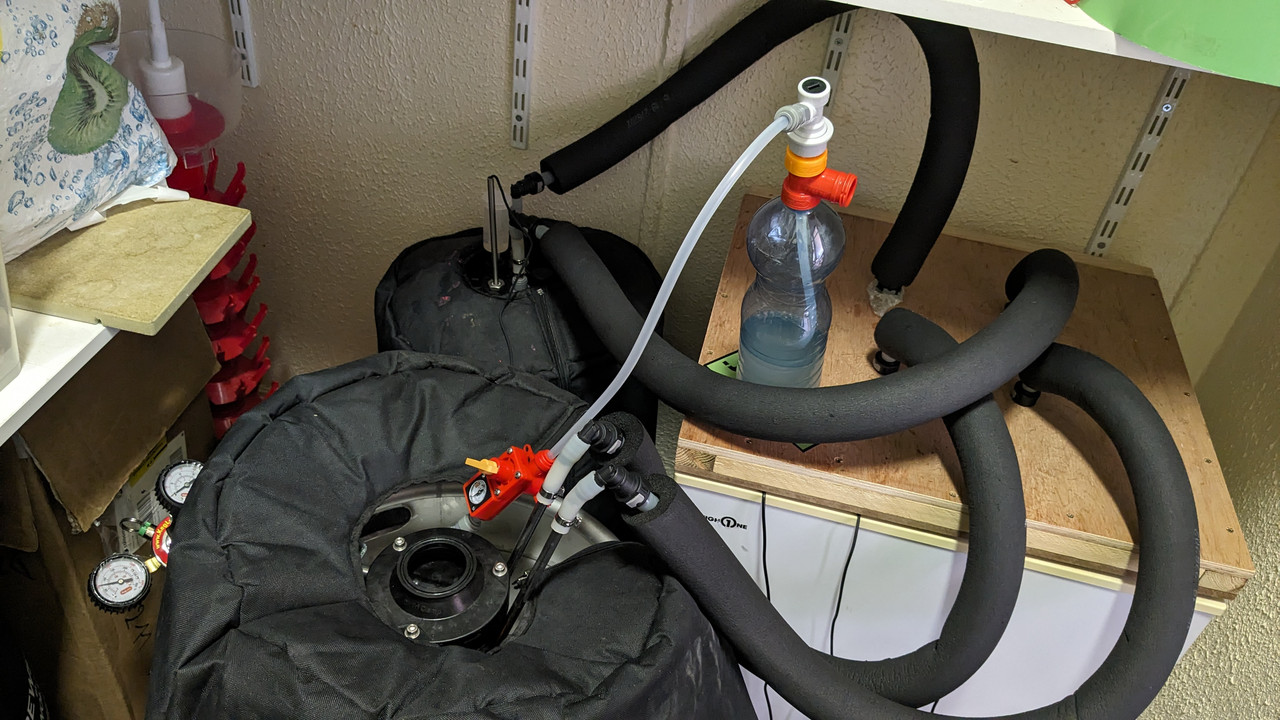 PXL_20240331_101042207