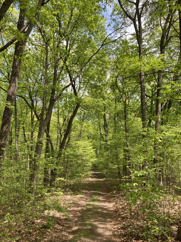 3AE948CF-FD02-4E94-82C8-5BEFEDA80D6D