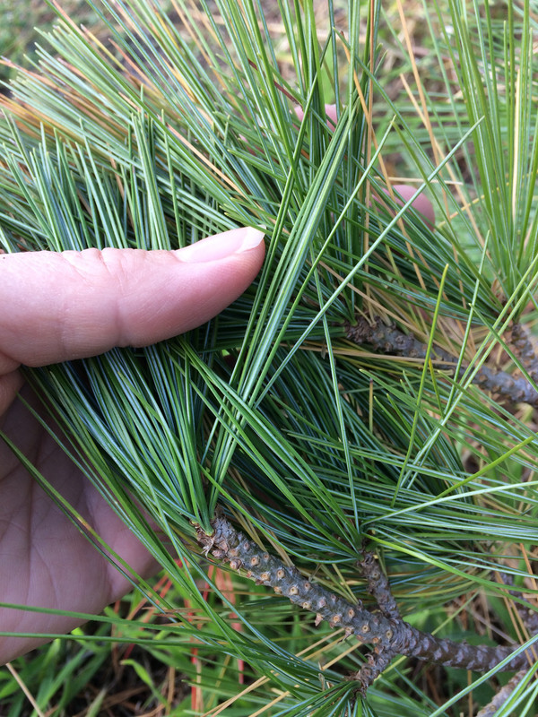 D86C5E43-8D22-49CC-910A-B824428762BE