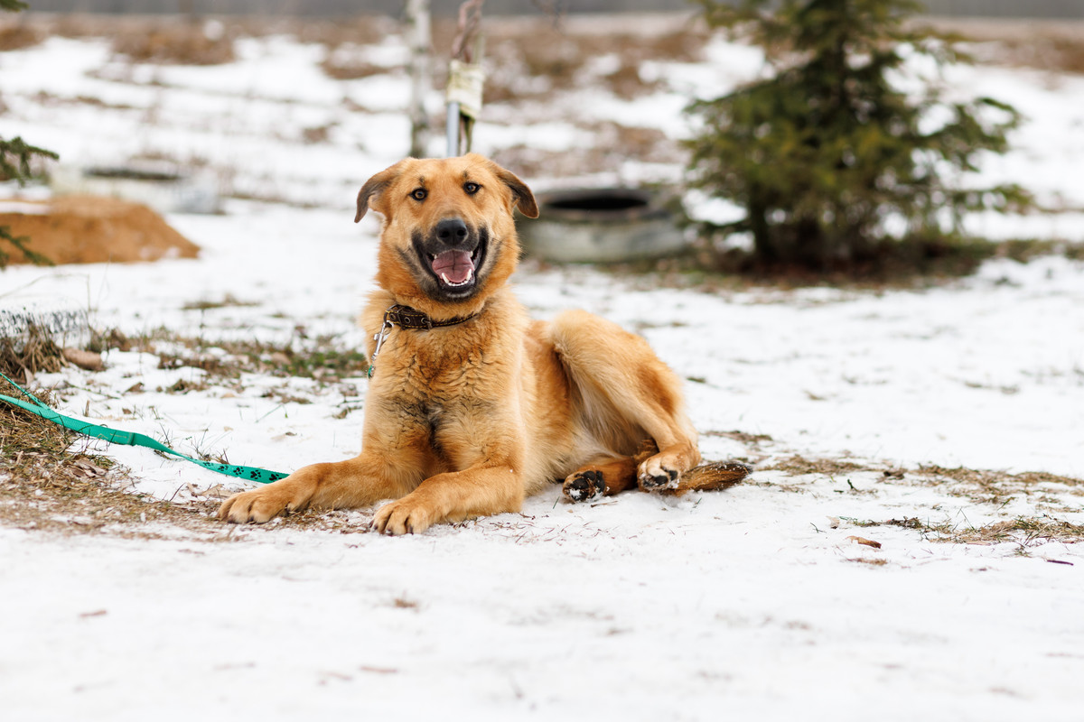 RRDaPGIDaq6DTzmuK1VD5CJuDoYXySgvEwW9RthIPGZ3atJfXUPWxkIwF6VWaS4Ex8dPF6_W4r8knRgitZajZA==?uid=0&filen