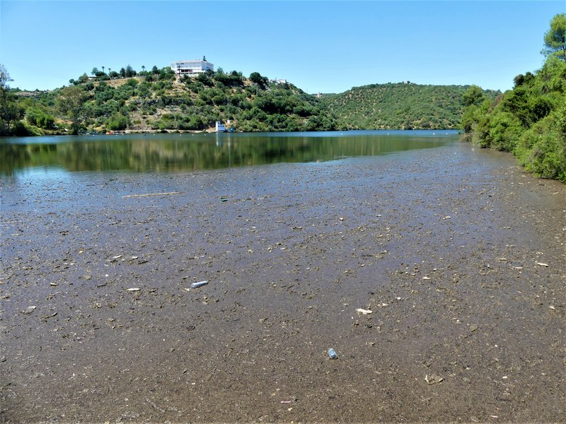 HORNACHUELOS-4-7-2020 - Córdoba y sus pueblos-2017/2020 (10)