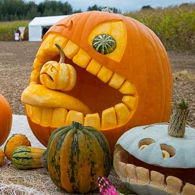 Pumpkins 0038