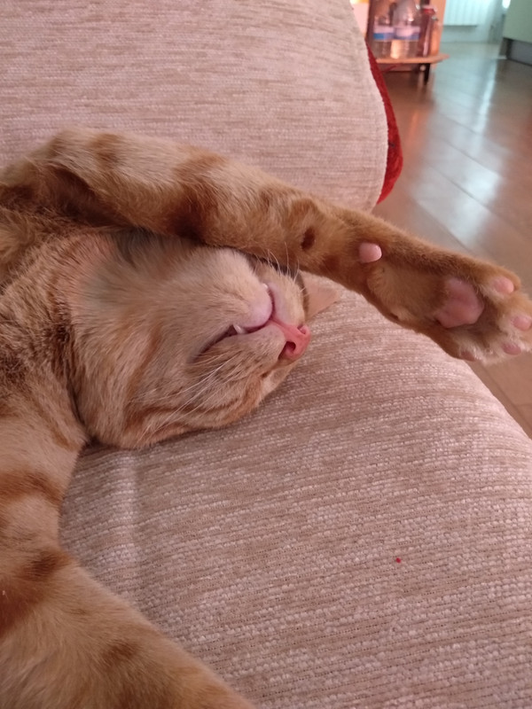 IMG_20180807_152329_HHT