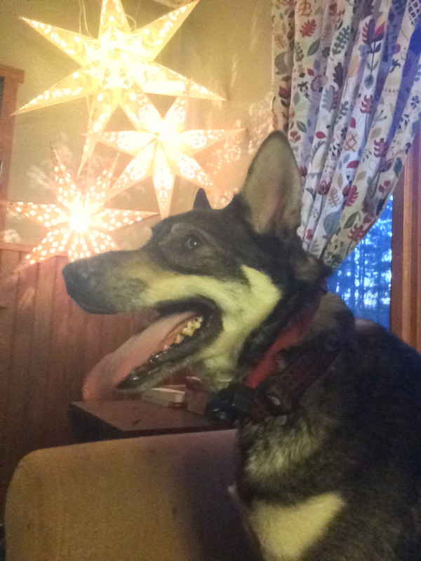 1A68EA83-DFF9-4BE8-9458-6ABCBC63A210