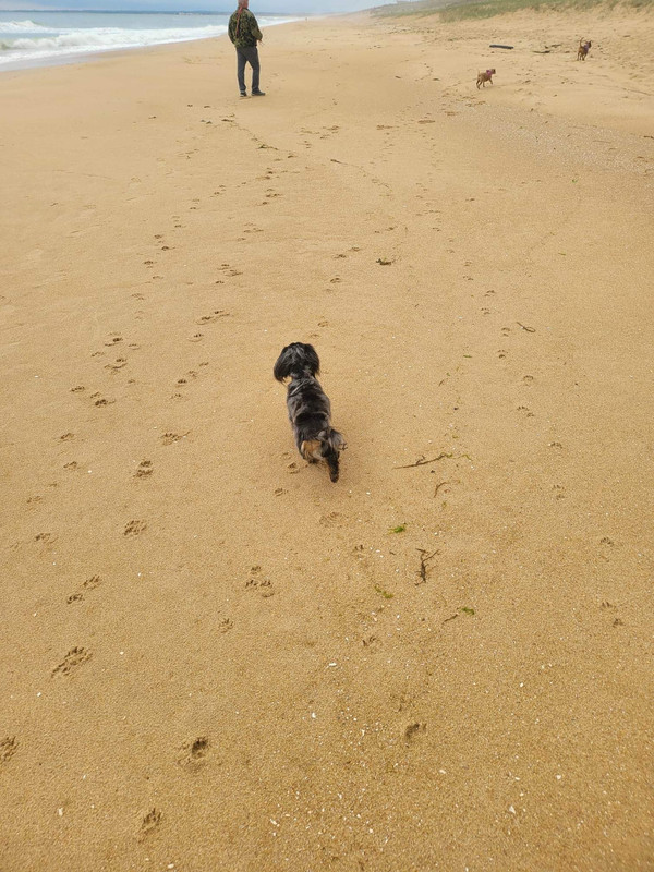 [Image: IMG-9469.jpg]