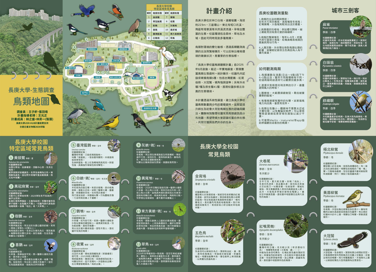 長庚大學鳥類地圖