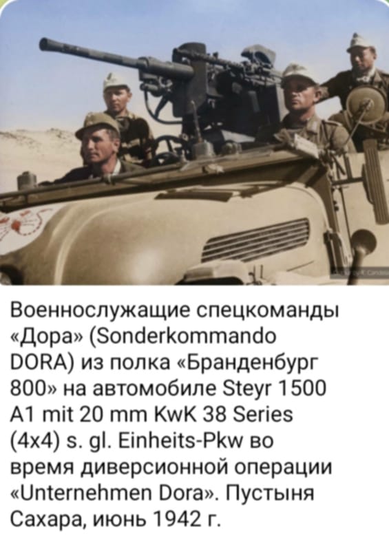 https://i.postimg.cc/wjWWhfp9/e6c19c32-fc0b-49e3-bc3e-7024afb10d52.jpg