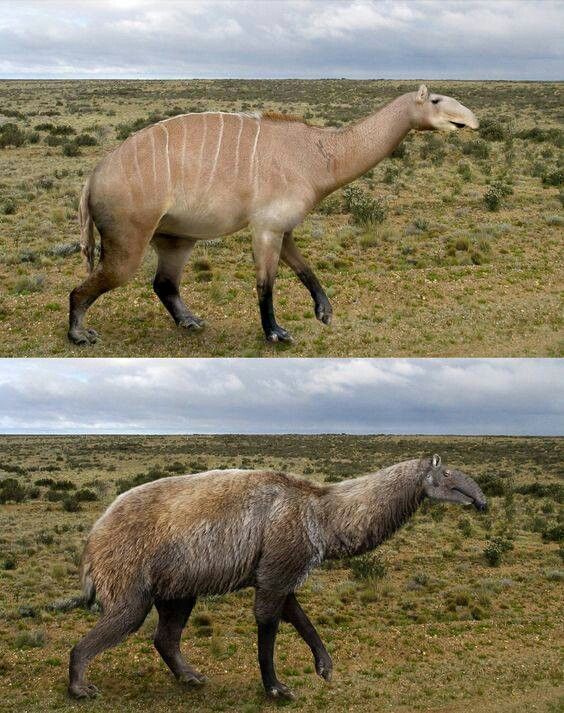 d03a1b122b18fd6a313a60cc50ad6129