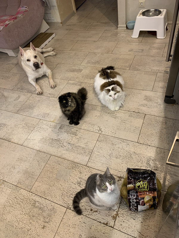 A70C8561-A925-4D1D-9564-8C6FB7F5506A