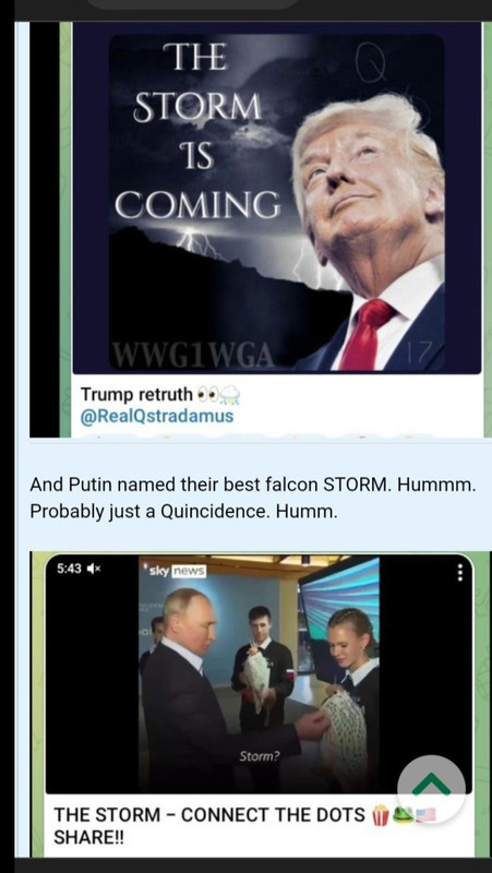 Screenshot_20230130-132723_Photos