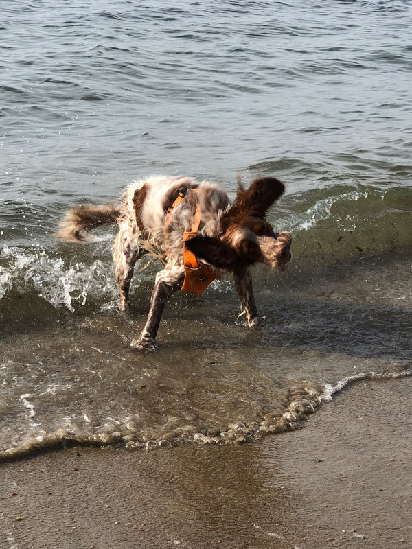 B2683FF0-C8E8-4149-9716-BAC9C1239806