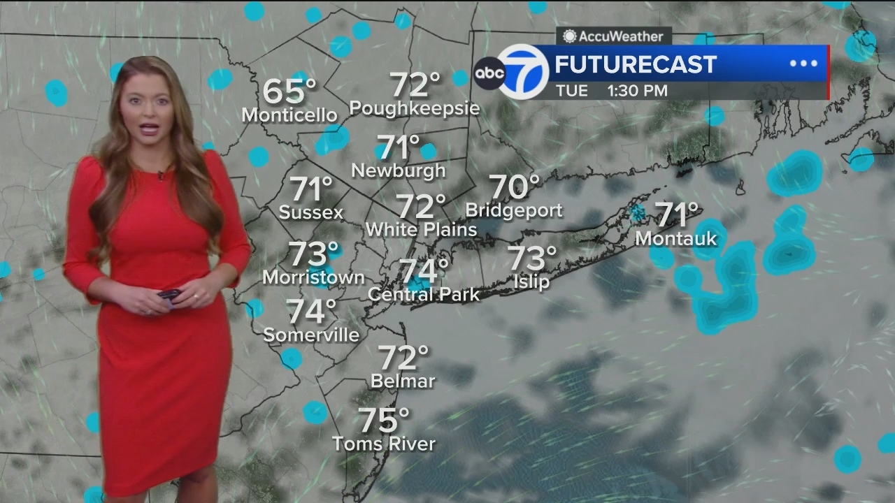 Eyewitness News Mornings at 10_20240610_15001600.ts_snapshot_00.16.39.902