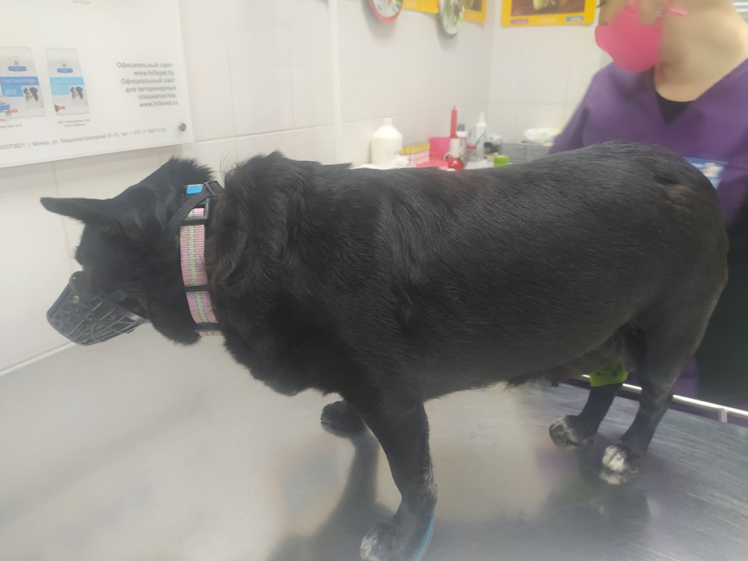 изображение_viber_2021-09-29_01-02-03-350