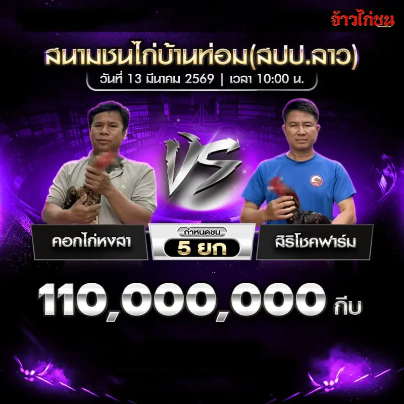 โปรแกรมไก่ชน คอกไก่หงสา พบ สิริโชคฟาร์ม สนามชนไก่บ้านท่อม สปป.ลาว