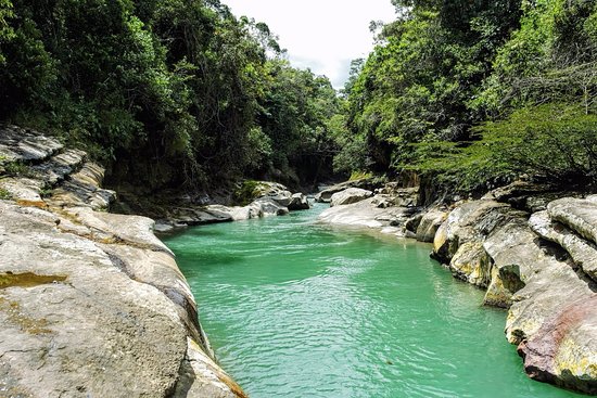 Hashtags para medio ambiente