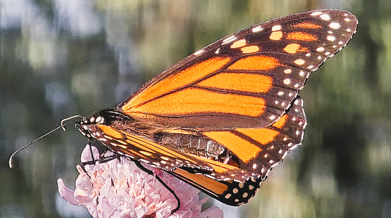 20241025-153053.jpg