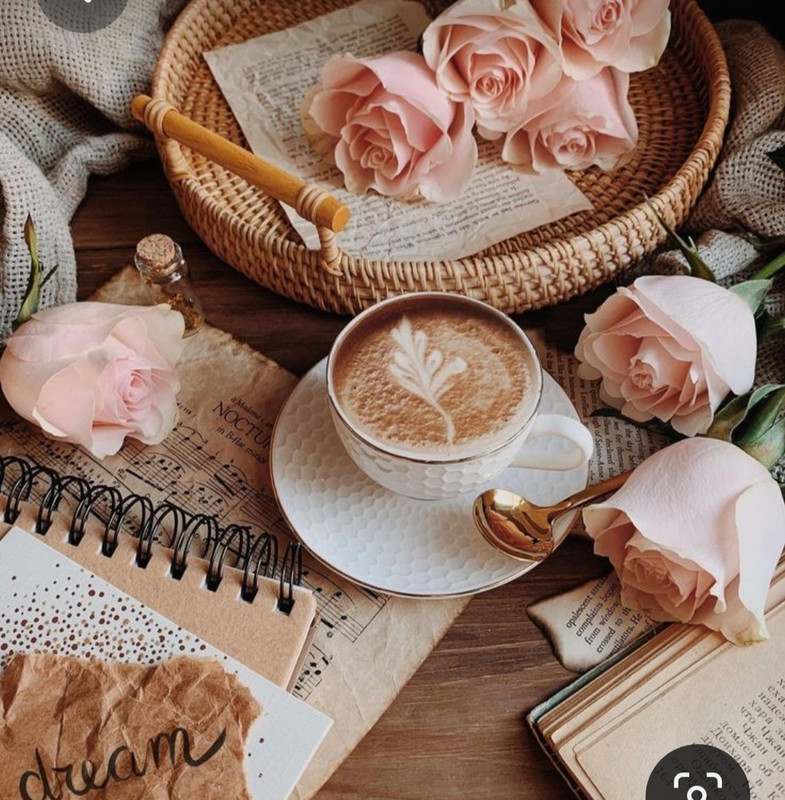 Screenshot_20230322_002705_Pinterest