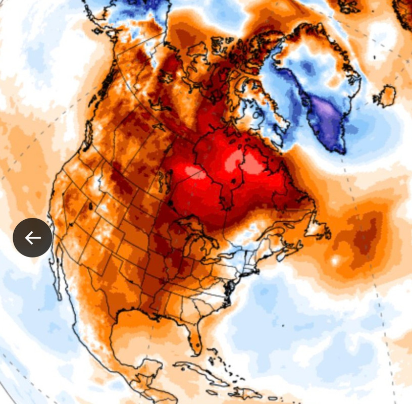 Screenshot_20241228_012155_Chrome