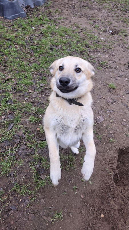 photo 2025 11 30 19 25 04