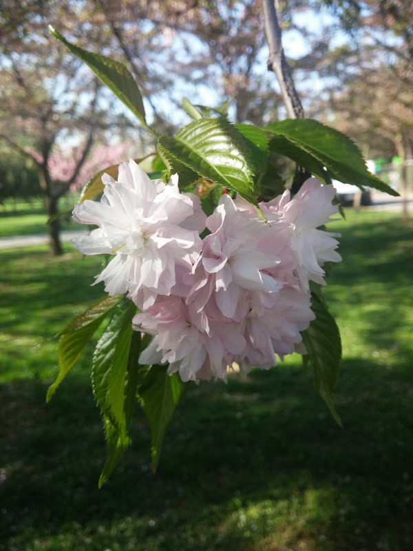 20150417_172623